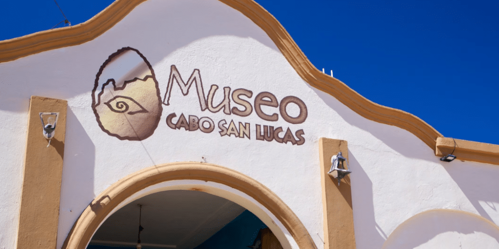 Museo de Historia Natural: Un viaje al pasado y al presente de Baja California Sur