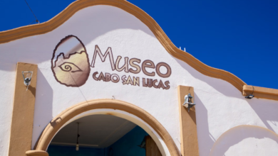 Museo de Historia Natural: Un viaje al pasado y al presente de Baja California Sur