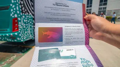 Tarjeta digital para el Tiburón Urbano: Más de 2 mil adquiridas en la primera semana