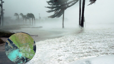 Tormenta Tropical Ileana amenaza con lluvias intensas y fuertes vientos en Baja California Sur