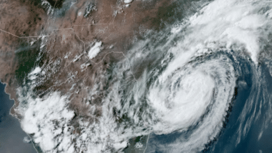 Tormenta Tropical Francine se transformará en Huracán en las próximas horas: Sigue su trayectoria