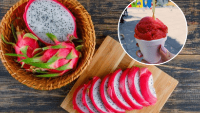 Nieve de pitahaya, un postre con sabor desértico