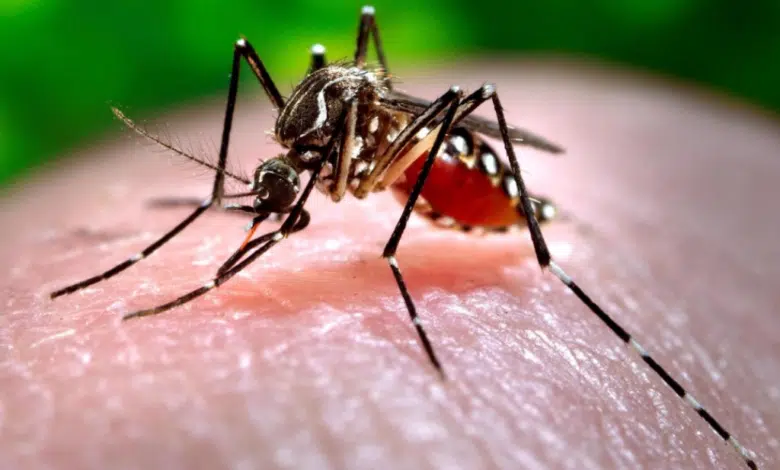 Preparan operativo contra el dengue tras Tormenta Tropical “Ileana”