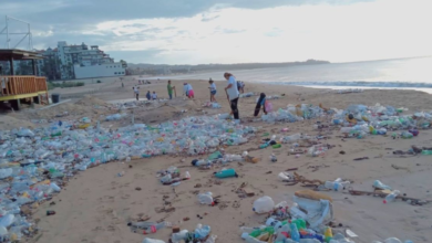 Recogen 70 toneladas de basura en playas de Cabo San Lucas