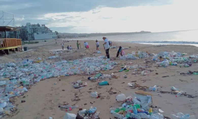 Recogen 70 toneladas de basura en playas de Cabo San Lucas