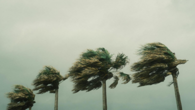 Declaran saldo blanco en BCS tras tormenta tropical Ileana