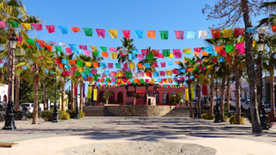 ¡De encanto! Los dos mejores sitios otoñales en La Paz