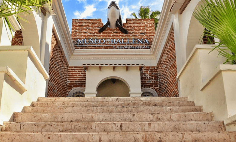 El Museo de la Ballena: Un faro de conocimiento y conservación en La Paz