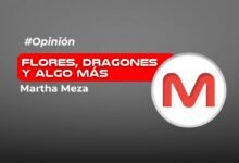 Flores, dragones y algo más…