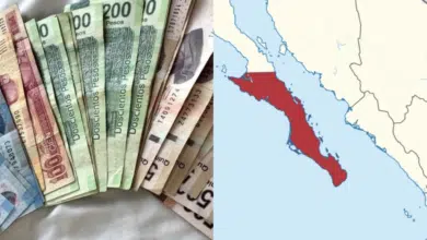 Baja California Sur, el estado con los salarios más altos de México