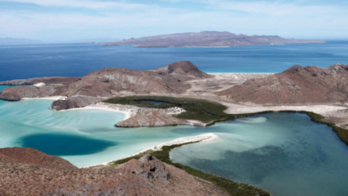 Conoce los tres lugares que son patrimonio de la humanidad en Baja California Sur