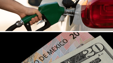 Precio de la gasolina y dólar hoy, viernes 15 de noviembre en México