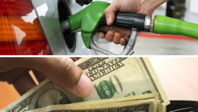 Tipo de Cambio: Precio del dólar y gasolina hoy, lunes 25 de noviembre en México