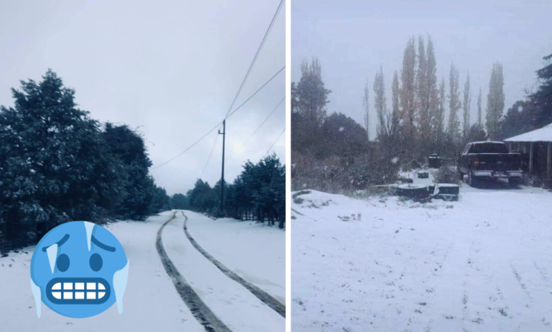 Se registran las primeras nevadas de la temporada invernal en Sonora