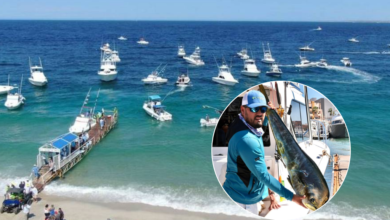 Anuncian Torneo de Pesca "Halcones al Mar 2024" en Puerto Adolfo López Mateos