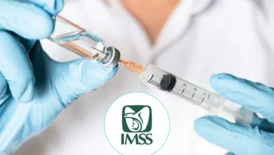 IMSS Baja California Sur aplica más de 41 mil dosis de vacuna contra la influenza