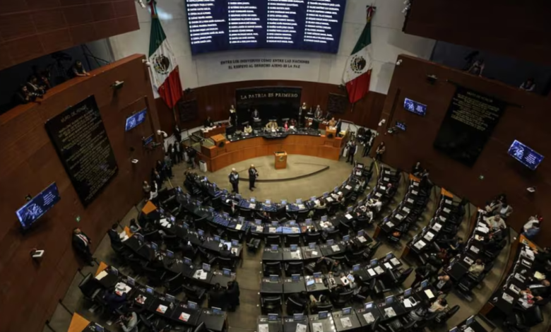 Senado celebra registro de casi 12 mil aspirantes para elección