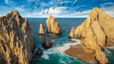 Top 5 de canciones inspiradas o grabadas en Baja California Sur