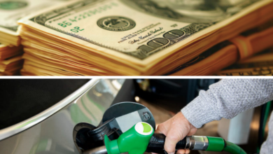 Precio de la gasolina y dólar hoy, martes 19 de noviembre en México