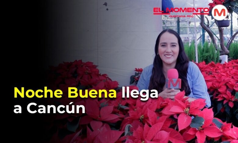 La flor de Noche buena llega a Cancún