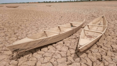 Atravesando la temporada más seca en años: 2024, el año más árido del siglo