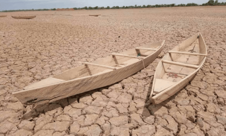 Atravesando la temporada más seca en años: 2024, el año más árido del siglo