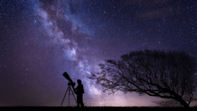 Baja California Sur, un paraíso astronómico reconocido a nivel mundial