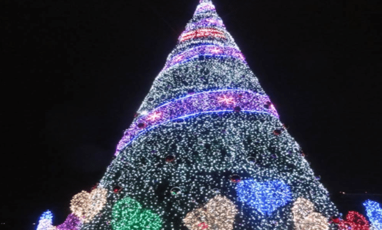 Los Cabos se ilumina con la magia navideña: Encienden el árbol en San José del Cabo