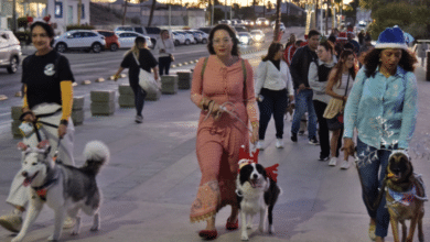 ¡De pelos! Pasarela navideña de lomitos en el malecón de La Paz