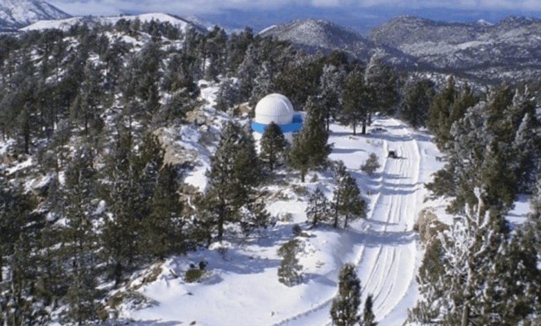 ¿Quieres pisar la nieve esta Navidad? Viaja a la Sierra de San Pedro Mártir y vive una experiencia única