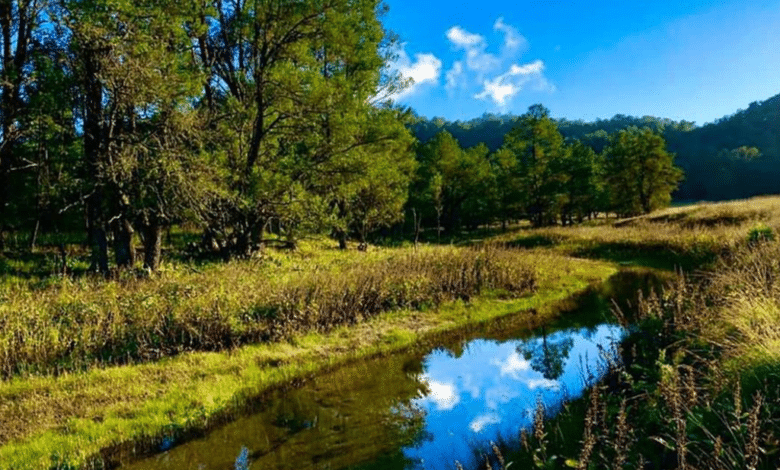 Subir a la Sierra La Laguna: Todo lo que debes saber sobre el curso y costos