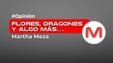 Flores, dragones y algo más…