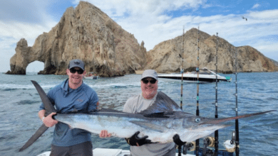 Eventos de pesca deportiva en Baja California Sur para enero de 2025