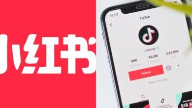 RedNote podría sustituir a TikTok si se prohíbe en EU