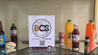 1,032 productos regionales cuentan con el distintivo oficial “Hecho en BCS”