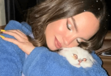 Belinda pide ayuda para encontrar a su gato Glen “Estoy muy triste”