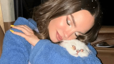 Belinda pide ayuda para encontrar a su gato Glen “Estoy muy triste”