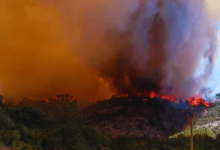 Incendio forestal en Atltzayanca, Tlaxcala devastadas más de mil hectáreas