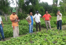 Campo chiapaneco junto a agricultores