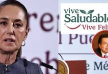 Sheinbaum desmiente acuerdo entre SEP y productores de comida chatarra